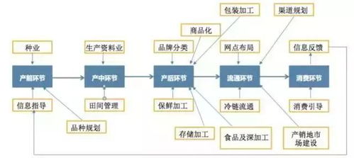 互聯(lián)網(wǎng)農(nóng)業(yè) 物聯(lián)網(wǎng)技術(shù)服務(wù)帶來的務(wù)農(nóng)新體驗